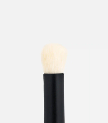 Baby Blender Brush