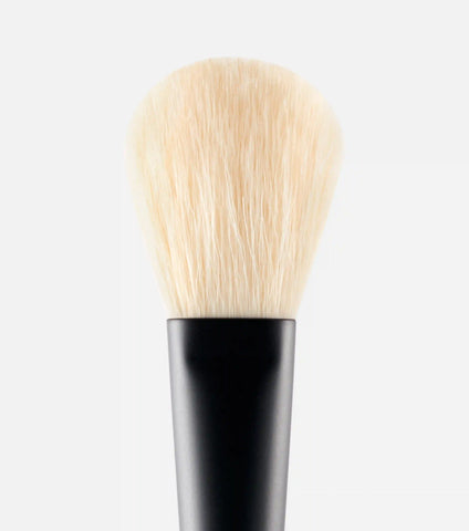 Powder Brush